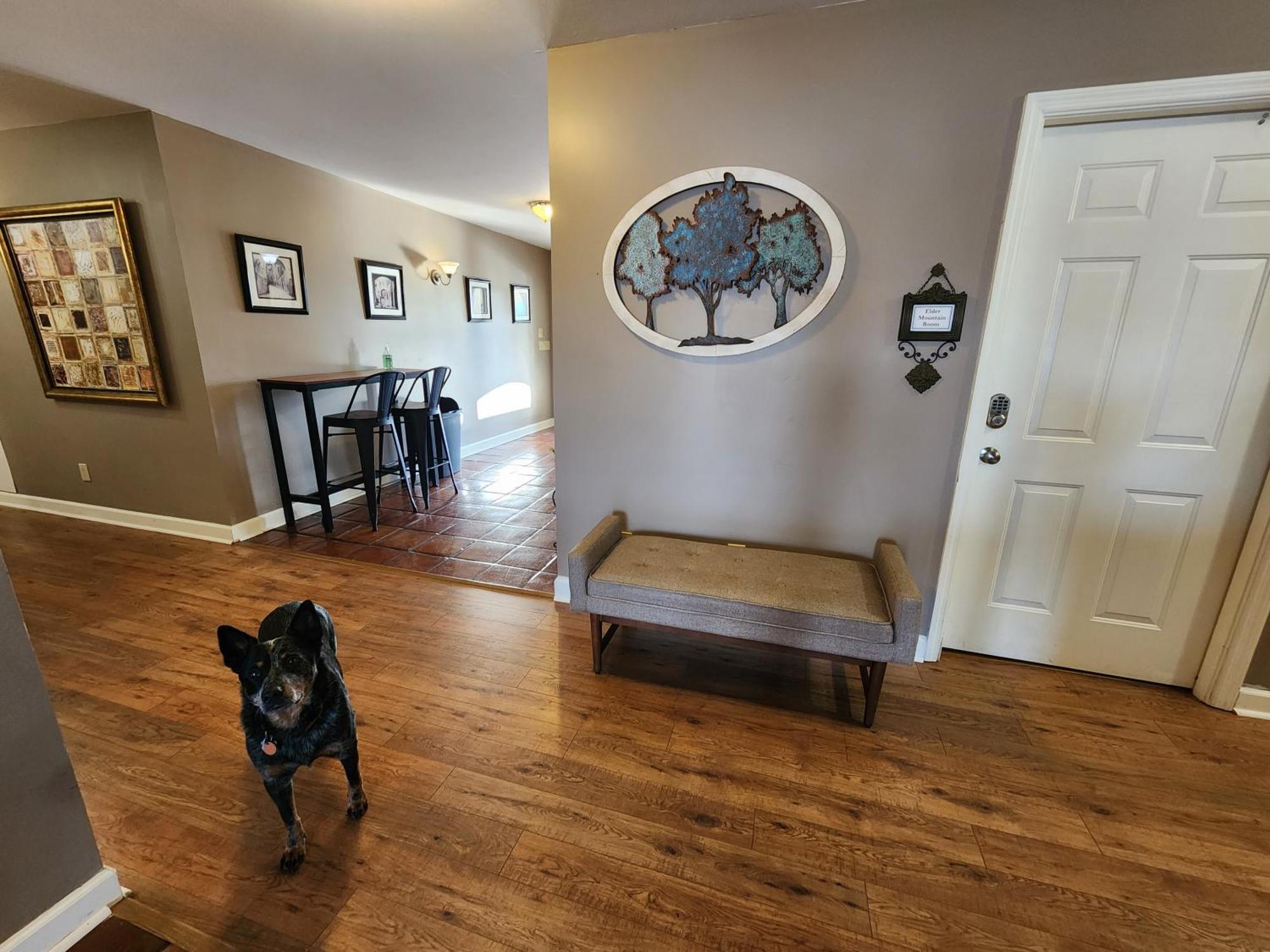 Elder Mountain Room At Tennessee Riverplace 채터누가 외부 사진